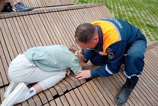 В Пензе спасатели помогли девочке освободить застрявшую в лавочке руку