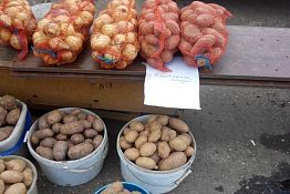 В Пензенской области самые дешевые в РФ картофель, сахар, мясо птицы и молоко В Пензенской области самые дешевые в РФ картофель, сахар, мясо птицы и молоко