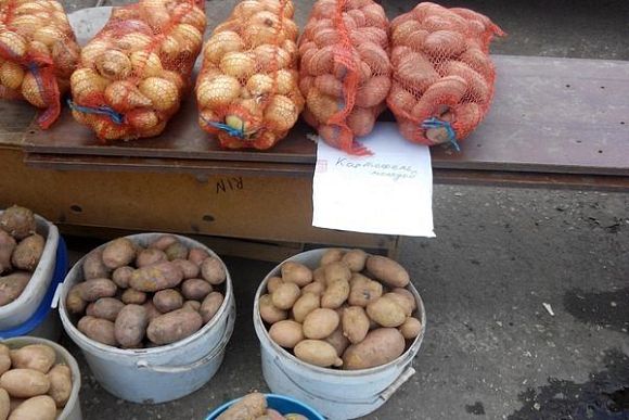 В Пензенской области самые дешевые в РФ картофель, сахар, мясо птицы и молоко