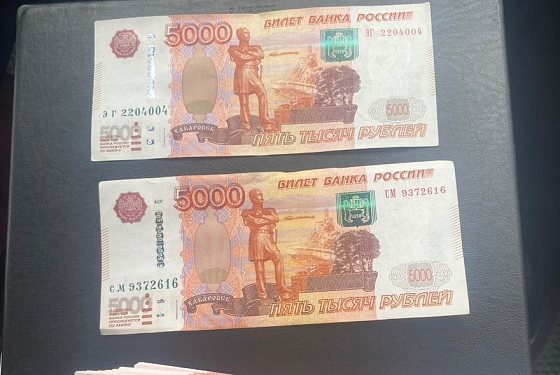 В Пензе осудили мошенника, который обманом выманил 1,8 млн рублей