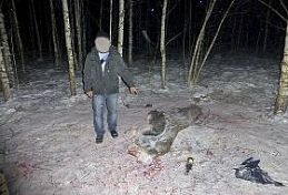 Земетчинский охотник отправился на кабана, а подстрелил лося