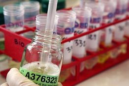 WADA: в докладе Макларена будут доказательства приема допинга спортсменами из России WADA: в докладе Макларена будут доказательства приема допинга спортсменами из России