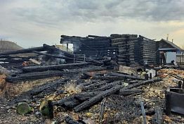 В Пензенской области в страшном пожаре погибли три человека