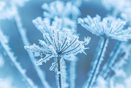 В Пензенской области 4 декабря ожидается до минус 26 градусов