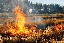 В Пензенской области за сутки произошло 35 пожаров В Пензенской области за сутки произошло 35 пожаров