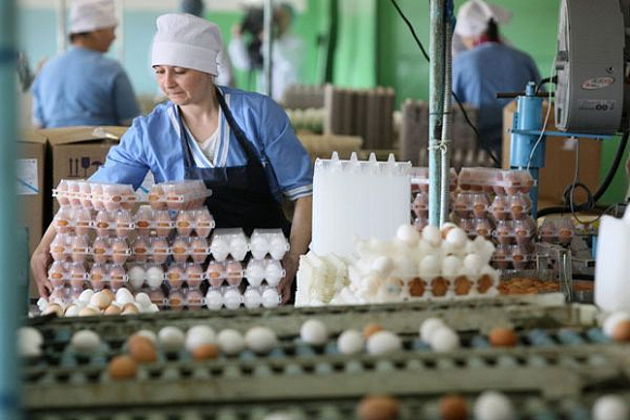 В Пензенской области птицефабрики поддержат рублем