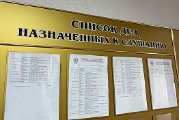 В Пачелме сельчанина осудили за изготовление боеприпасов