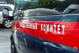 ЧП в Каменском районе — мать ребенка знала о муже-педофиле ЧП в Каменском районе — мать ребенка знала о муже-педофиле