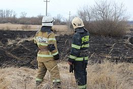 В Пензенской области выросло число пожаров из-за сжигания травы