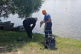 В Пачелмском районе спасатели вытащили из пруда труп утонувшего мужчины В Пачелмском районе спасатели вытащили из пруда труп утонувшего мужчины