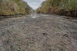 Исчезла река: пензенцы сообщили о резком снижении уровня воды в Сердобе