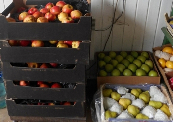 На рынке Пензы изъяли запрещенные фрукты из Польши