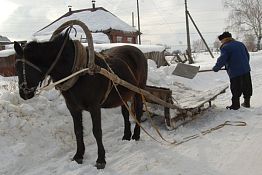 В школу добирались кто как мог В школу добирались кто как мог