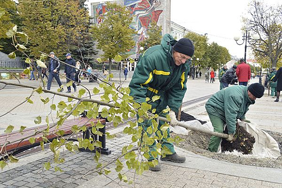 В Пензе на ул. Московской 5 октября посадили 12 лип