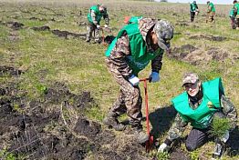 В Пензе разрастается Лес Победы