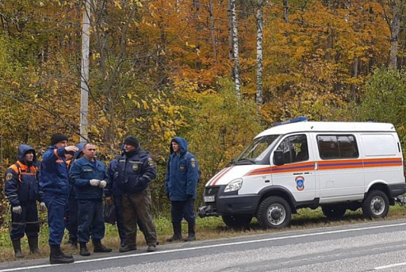 Под Пензой спасатели продолжают поиски 69-летнего грибника