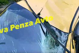 В Пензе на улице Коммунистической дерево раздавило Daewoo Matiz В Пензе на улице Коммунистической дерево раздавило Daewoo Matiz