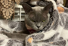 Пензенцев предупредили о морозе ниже климатической нормы