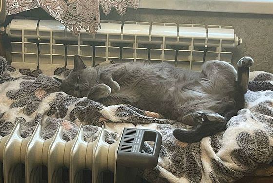 Когда в Пензе закончится отопительный сезон: весна 2026