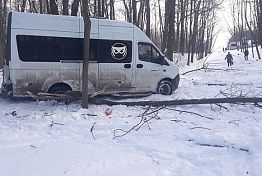 В Пензе маршрутка скатилась с остановки в лес