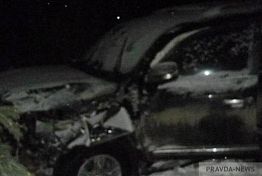 Под Пензой Toyota Land Cruiser упал в овраг, четверо пострадавших