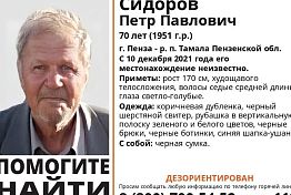 В Пензенской области без вести пропал дезориентированный пенсионер В Пензенской области без вести пропал дезориентированный пенсионер