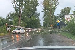 В Пензе ураган снес крышу и повалил деревья