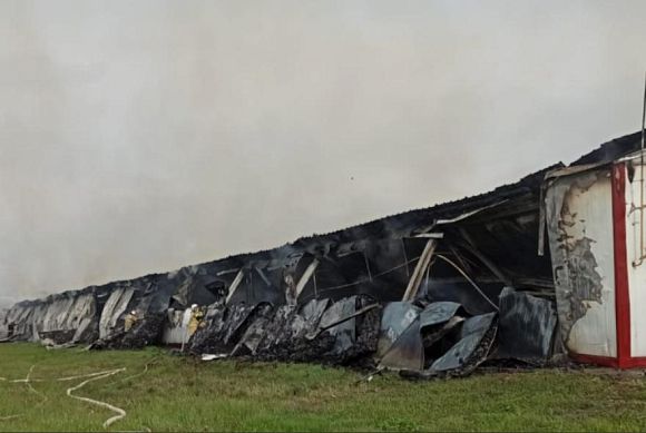 В Нижнеломовском районе огонь уничтожил птичник