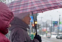 МЧС предупредило пензенцев о сильном ветре и похолодании 16 декабря