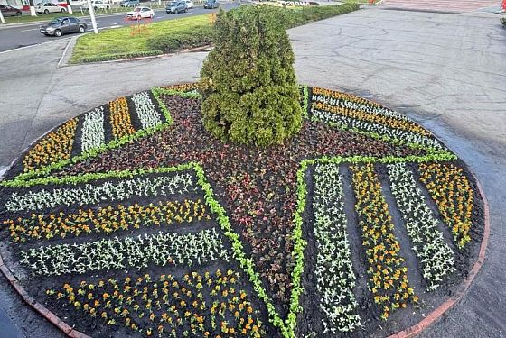 Территорию Пензы украсят около 300 тысяч цветов