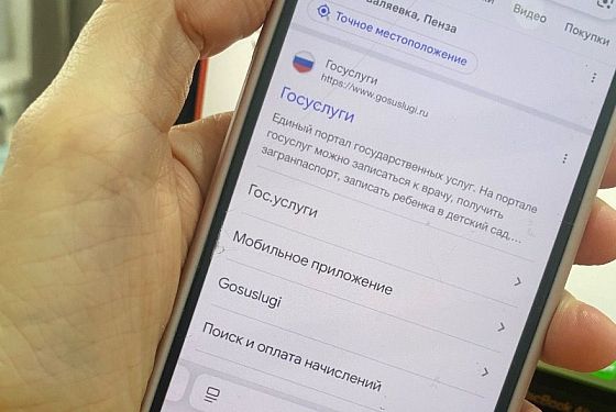 Более 2 млн россиян обратились за защитой от мошенников через Госуслуги