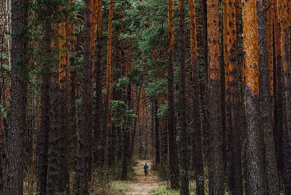 В МЧС предупредили о сильном дожде 20 апреля
