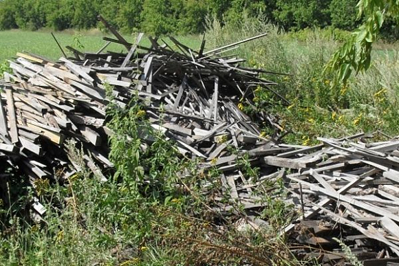 Житель Пензенской области превратил сельскохозяйственный участок в свалку