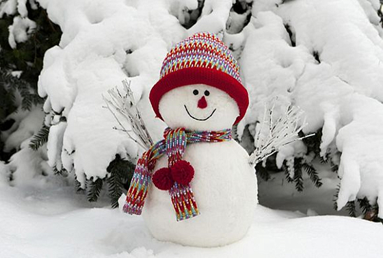 В пензенском зоопарке пройдет новогодний «Парад снеговиков»