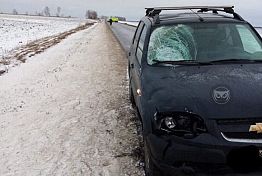 Очевидцы сообщили о сбитом насмерть под Пензой велосипедисте Очевидцы сообщили о сбитом насмерть под Пензой велосипедисте