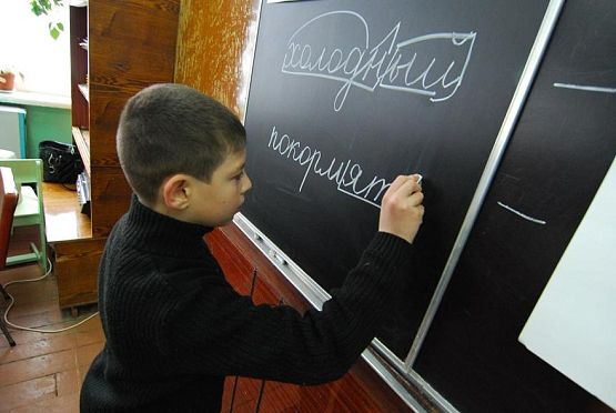 Мельниченко: Перевод школьников на удаленку не планируем