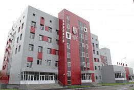 В Пензе проведут уникальную высокотехнологичную операцию свинье В Пензе проведут уникальную высокотехнологичную операцию свинье