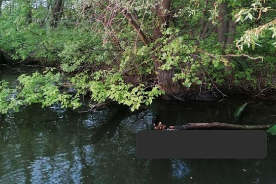 В поселке Барковка из реки достали труп мужчины