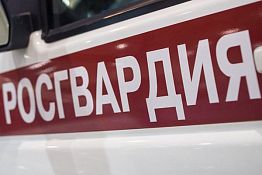 В пензенских храмах в ночь на Пасху будут дежурить 130 росгвардейцев В пензенских храмах в ночь на Пасху будут дежурить 130 росгвардейцев