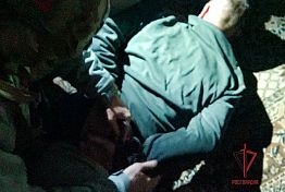 В Засечном задержали мужчину, открывшего стрельбу из окна В Засечном задержали мужчину, открывшего стрельбу из окна