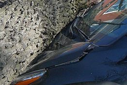В Пензе на ул. Лермонтова на Toyota Highlander рухнул дуб