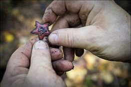 Пензенские поисковики обнаружили в Новгородской области останки 17 бойцов