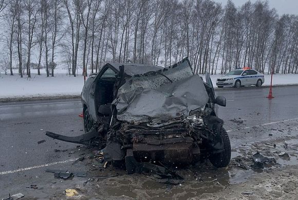 В Мокшанском районе погибли водитель и пассажирка ВАЗ-2110