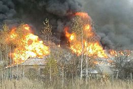 Пожар в Леонидовке на ул. Школьной тушили 43 человека