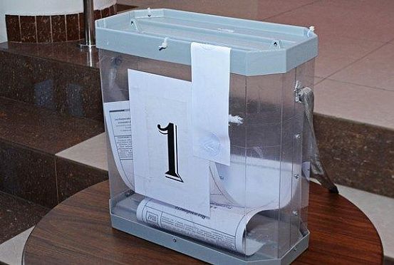 В Пензенской области явка на голосование составила 65%