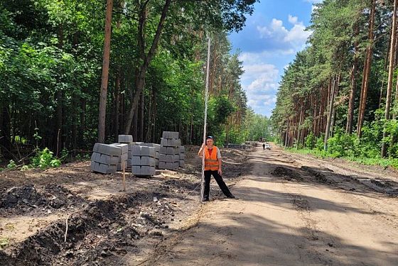 В Сердобске стартовал проект «Сосновый бор – семейная аллея»