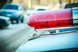 В Городищенском районе из магазина украли деньги, яблоки и шпроты