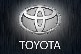 Представителям компании Toyota показали Музей одной картины