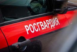 Пензячка ударила гражданского супруга ножом в голову