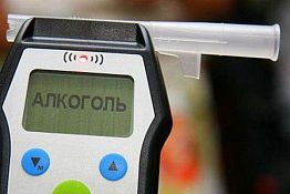 Житель Каменки отработает пьянку за рулем и избиение полицейского
